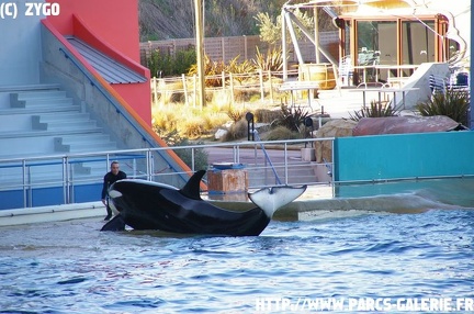 Marineland - 026