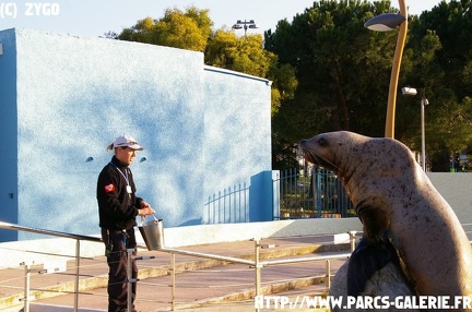 Marineland - 003