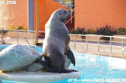 Marineland - 006