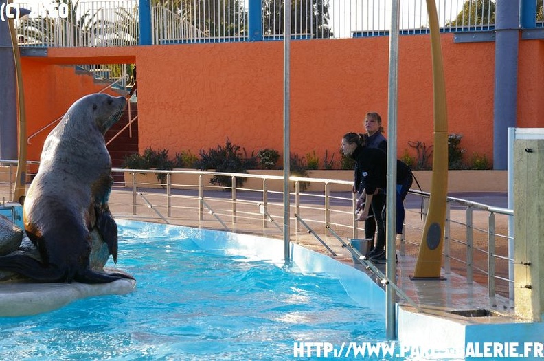 Marineland_-_007.jpg