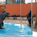 Marineland - 008