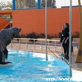 Marineland - 008