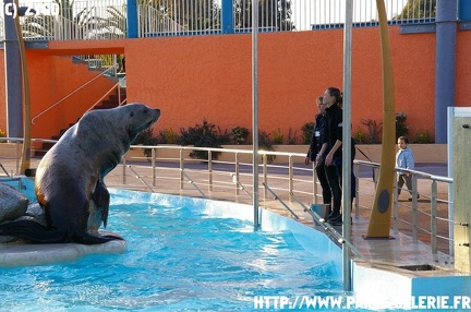 Marineland - 008