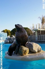 Marineland - 014