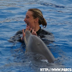 Marineland - Dauphins - spectacle