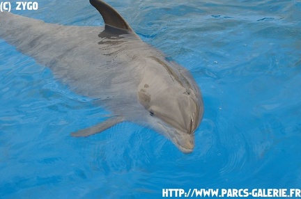 marineland - 09 Mars 2008 - 008