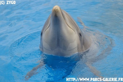 marineland - 09 Mars 2008 - 009