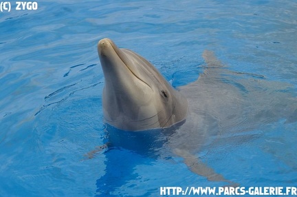 marineland - 09 Mars 2008 - 010