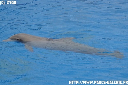 marineland - 09 Mars 2008 - 014