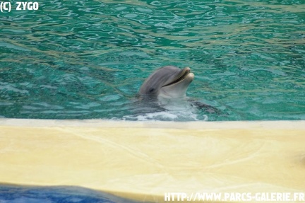 marineland - 09 Mars 2008 - 015