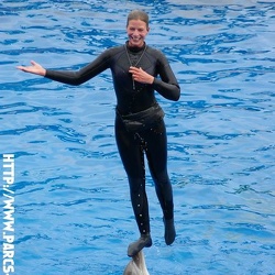 Marineland - Dauphins - Spectacle - 14h15