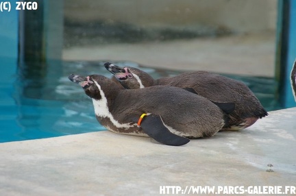 marineland - 09 Mars 2008 - 004