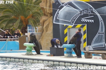 marineland - 09 Mars 2008 - 170