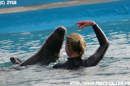 marineland - 09 Mars 2008 - 173