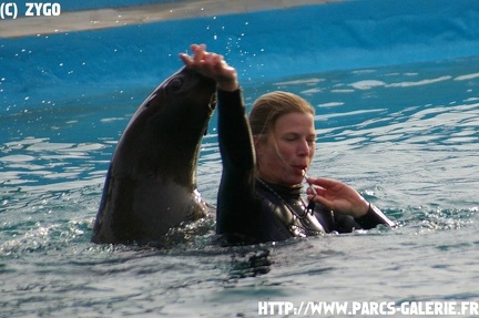 marineland - 09 Mars 2008 - 174