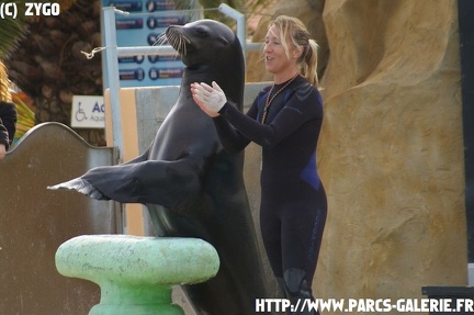 marineland - 09 Mars 2008 - 175