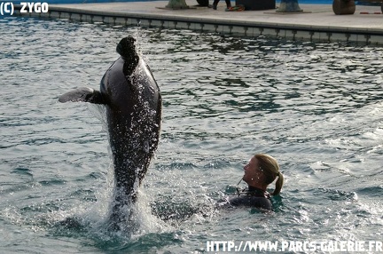 marineland - 09 Mars 2008 - 176