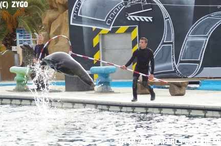 marineland - 09 Mars 2008 - 183