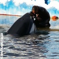 Marineland - 016