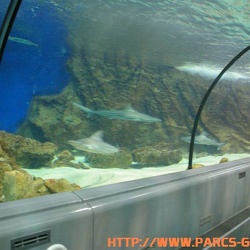 Marineland - Tunnel a requins