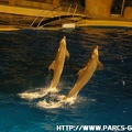 Marineland - 006