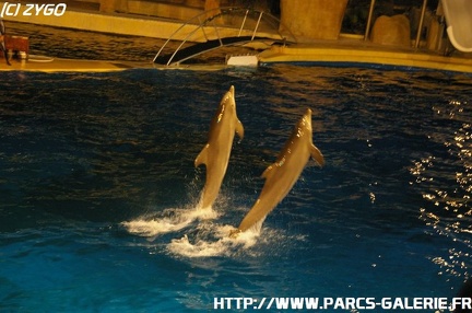 Marineland - 006