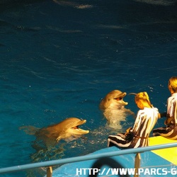 Marineland - Dauphins - Spectacle - Nocturne