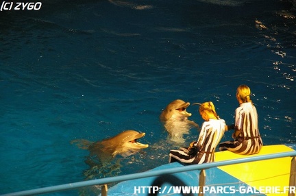 Marineland - 007