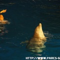 Marineland - 010