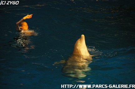 Marineland - 010