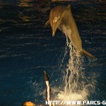 Marineland - 013