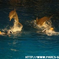 Marineland - 014