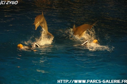 Marineland - 014