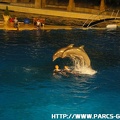 Marineland - 015