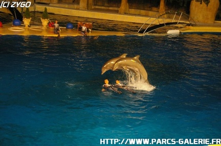 Marineland - 015