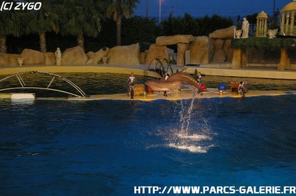 Marineland - 026