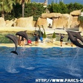 Marineland - 007