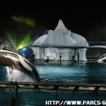 Marineland - 006