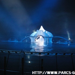 Marineland - Orques - Spectacle - Nocturne