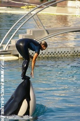 Marineland - 003