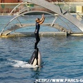 Marineland - 004