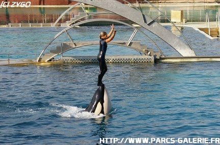 Marineland - 004