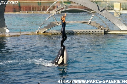 Marineland - 005