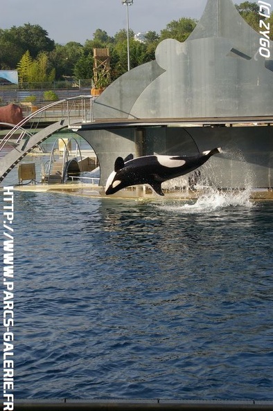 Marineland_-_006.jpg