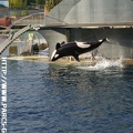 Marineland_-_006.jpg