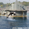 Marineland - 009