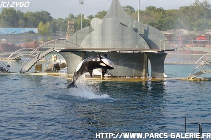 Marineland - 009