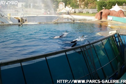 Marineland - 010