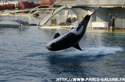 Marineland - 011