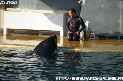 Marineland - 015